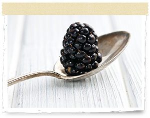 Single blackberry on a spoon
