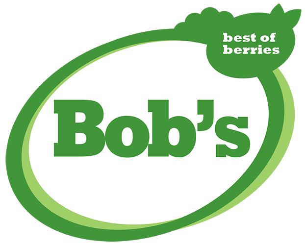BOB: Best of Berries